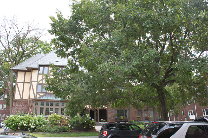Alternate view of Alpha Omicron Pi Chapter House